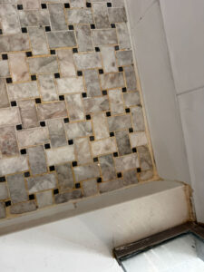 bathroom mold removal