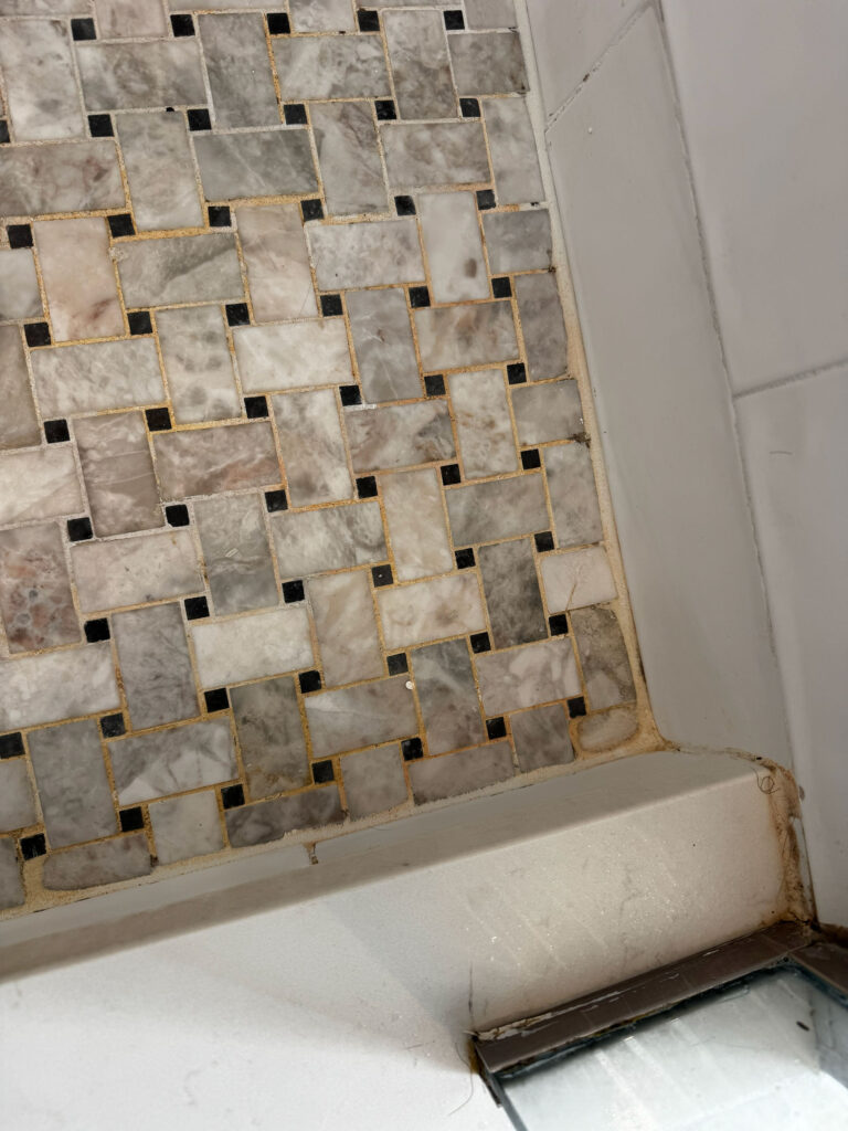 bathroom mold removal